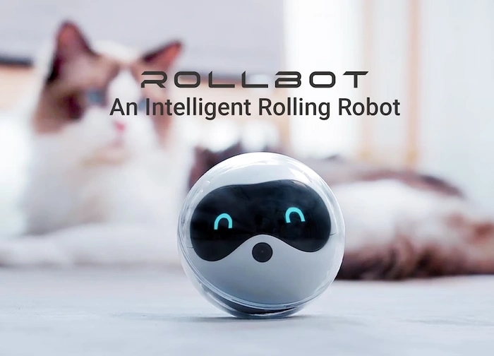 Rollbot-Roboter-Haustier-Begleiter