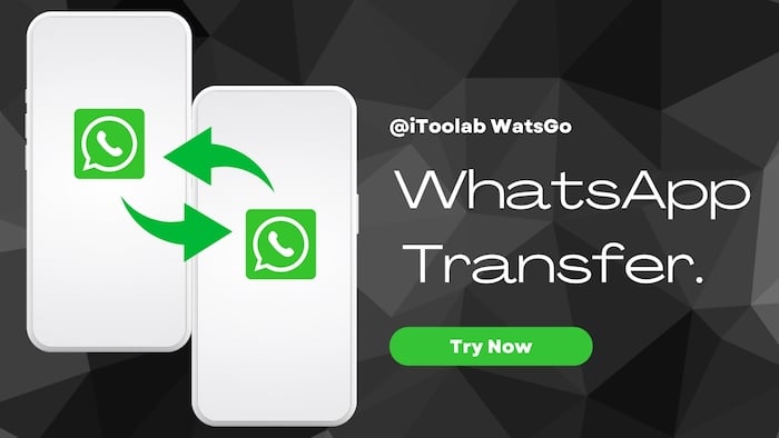 WhatsApp-Übertragung mit iToolab WatsGo
