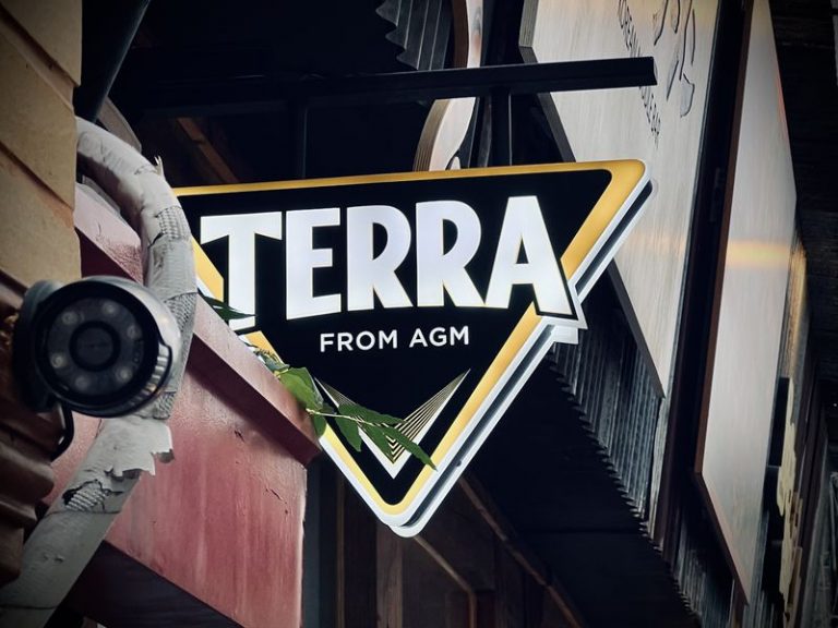 „Sag nicht Terra“ und andere Reflexionen von Koreas Krypto-Extravaganz