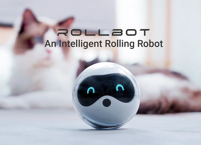 Interaktiver Rollbot-Roboter als Haustierspielzeug